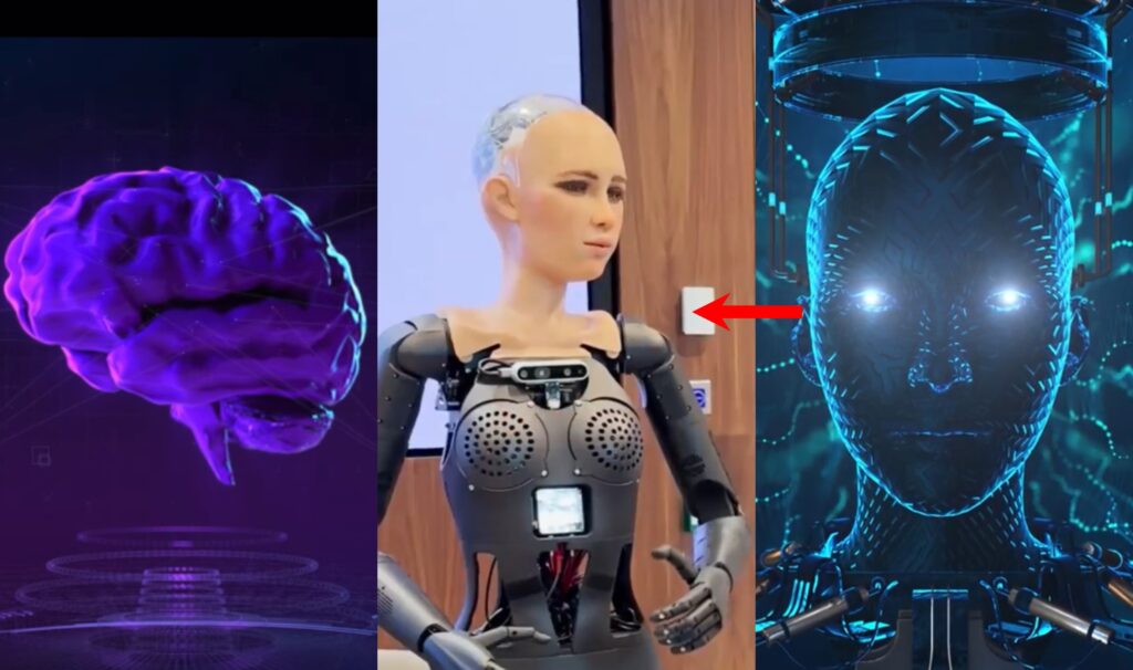 Humanoid Robot SOPHIA